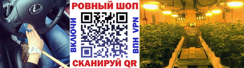 Где купить наркоту Сясьстрой АМФЕТАМИН ГАШ blacksprut как зайти COCAIN A-PVP Конопля